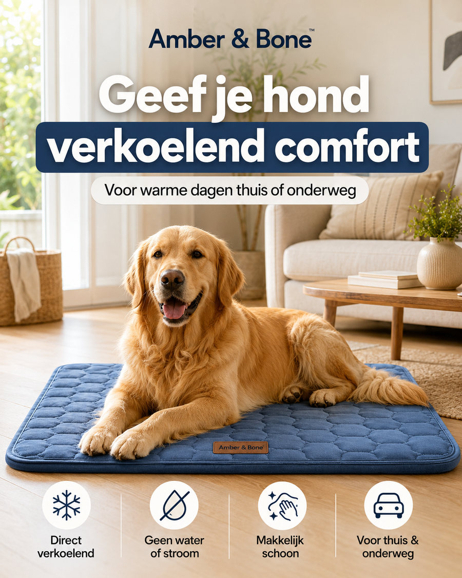 Amber & Bone Koelmat voor Hond & Kat — Zelfkoelende Huisdiermat