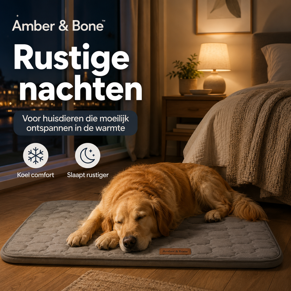 Eén vaste koele plek waar je hond wél kan liggen.